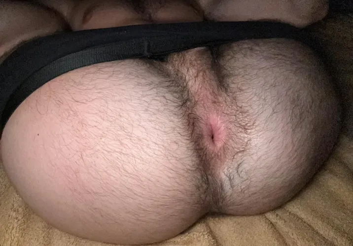 Built to be admired. Paid to be worshipped  by HungCashMastr