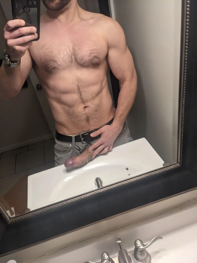 Bull available posted by Ramesesthecat