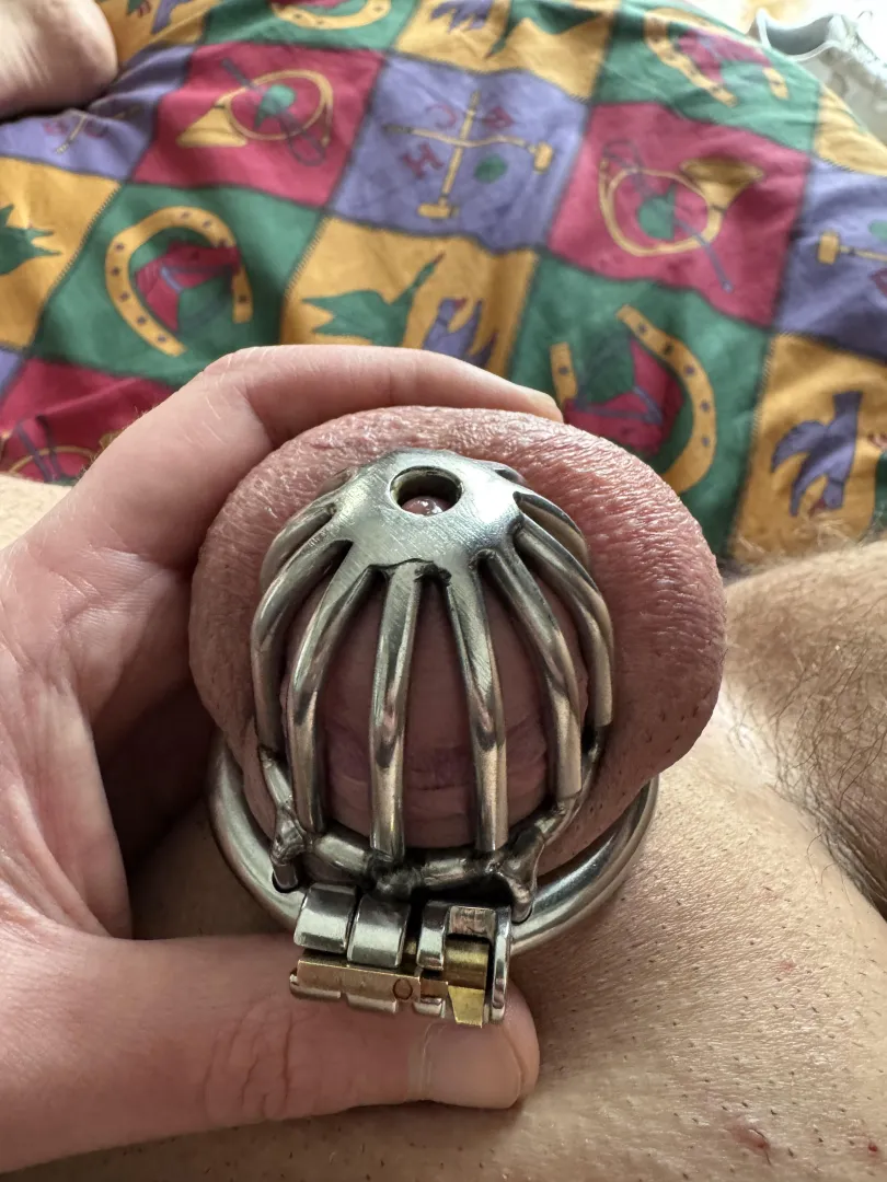 Buonasera a tutte/i ❤️ posted by Annual_Confusion_648