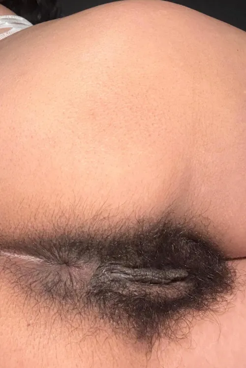 Bush anus closeup  by reddit9129