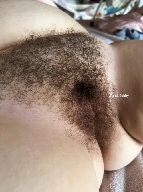 bush keeps growing by PandaSubby