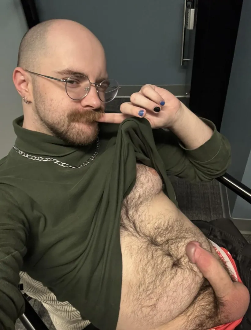 busy day, hard at work  posted by boy_pig