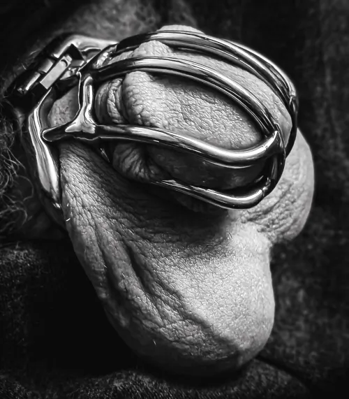 #CagedAndPussyFree : By order of the Queen by LifeInChastity