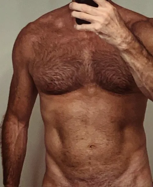 California Tan Bull by hereforyou295