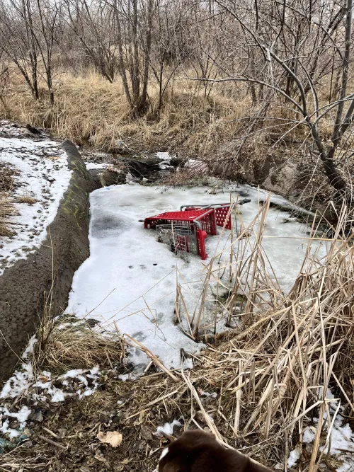 CALL AN AMBULANCE!!! by Lonely-Promise6742