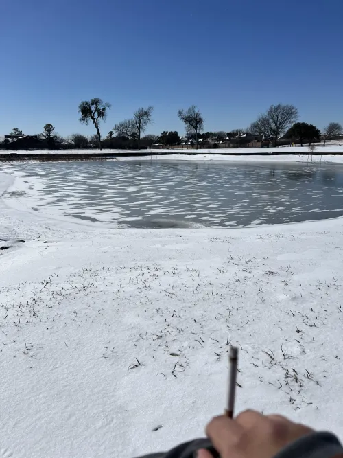 Camels in the snow by Jungaon