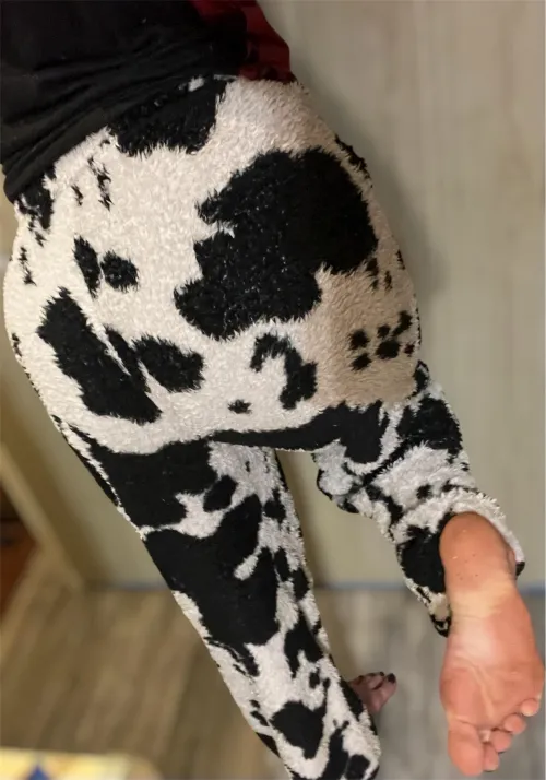 Can a footstool dispose money? Show it to me, make yourself useful by feetysweetyy