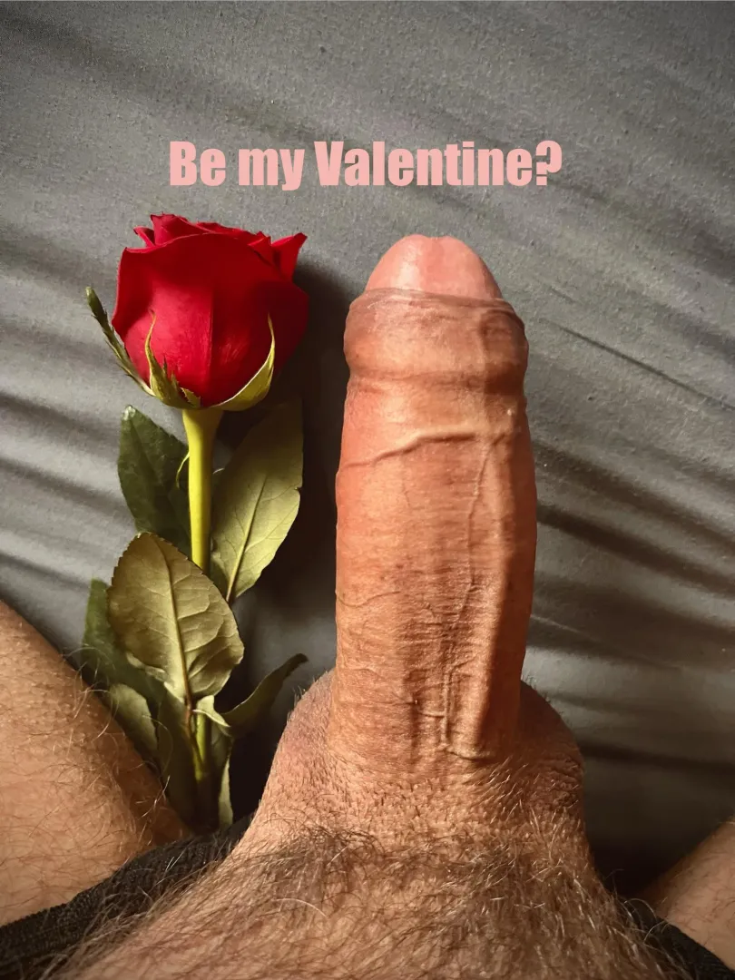 Can I buy you dinner and stretch your hole? posted by DomDozaX