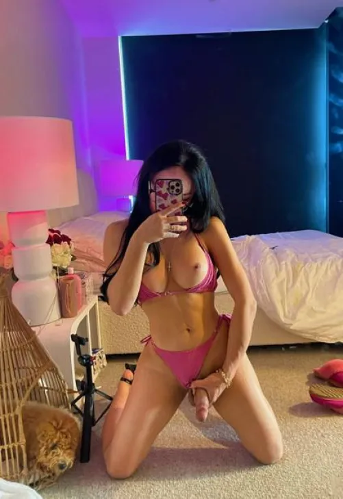 Can I slap it on your face by Celestial_Musee