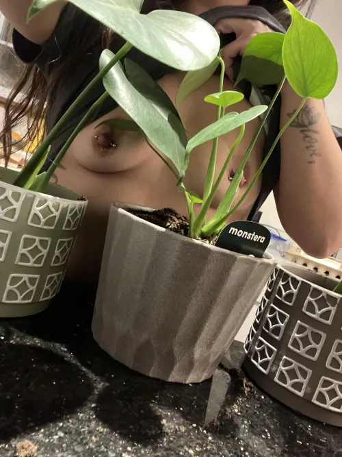 Can you spot the wild nips? by NeverYourNina