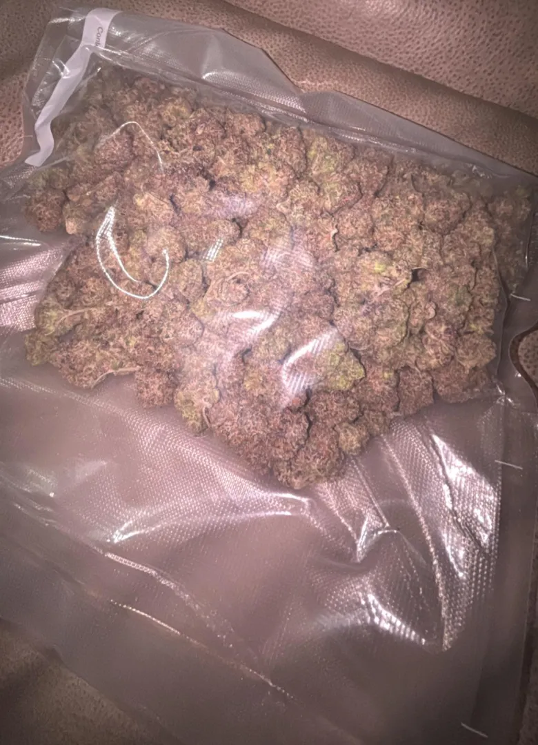 Candy Runtz posted by EquipmentPast9665