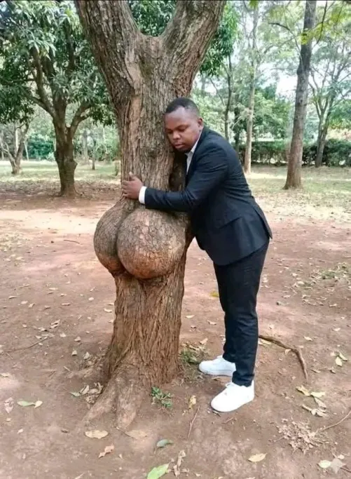 Caption this by Vast_Strawberry_4840