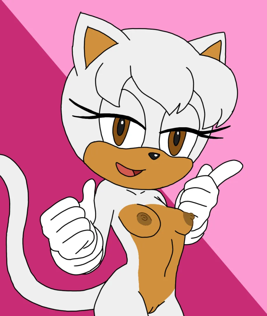 Card the Cat posted by Expensive_Jello_1553