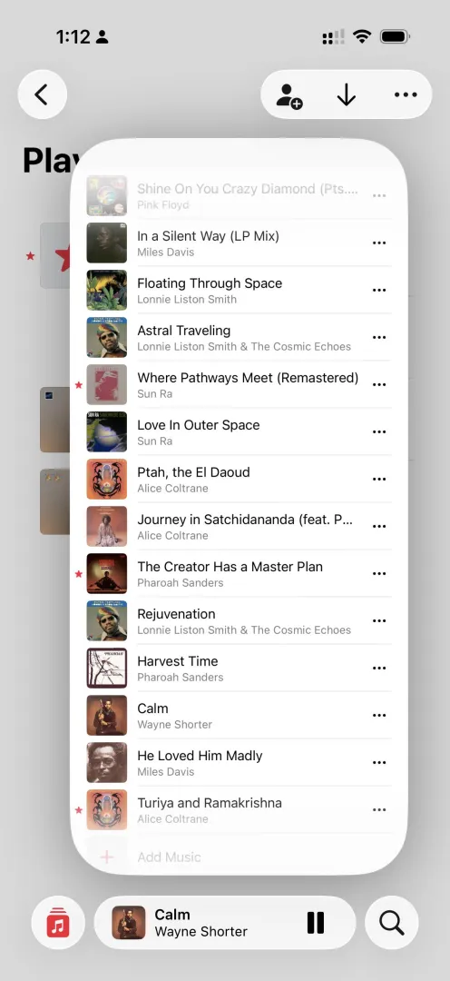 Carefully structured psychedelic trip playlist (guided journey format) posted by Loose-Decision8248