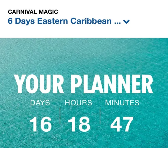 Carnival Magic! by Choice-Froyo5677