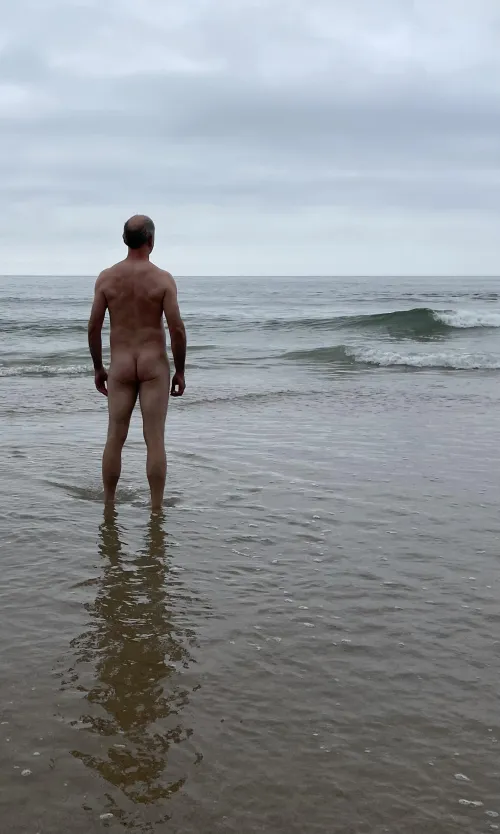 Casual Friday  by beachandforestfun