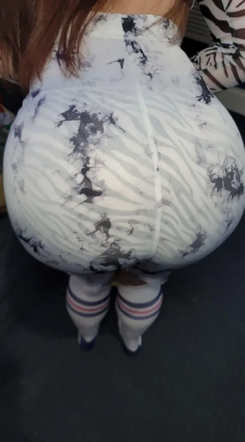 Catching some stripes today  by Daisy_Diva