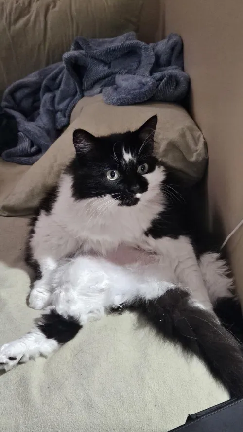 Caught her mid session [F] by Gaby5011