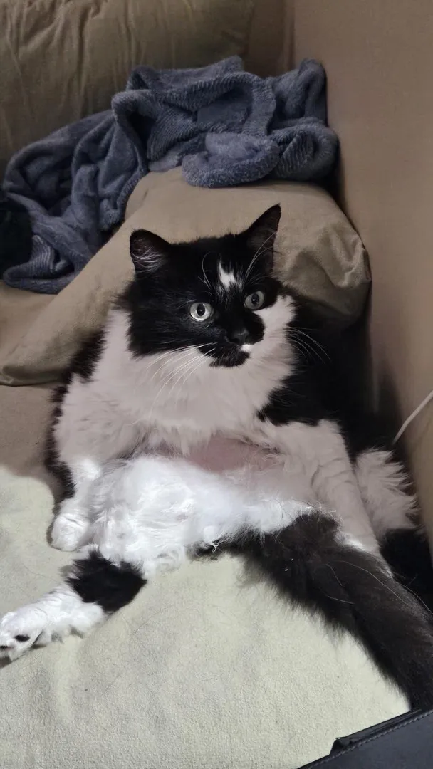 Caught her mid session [F] posted by Gaby5011