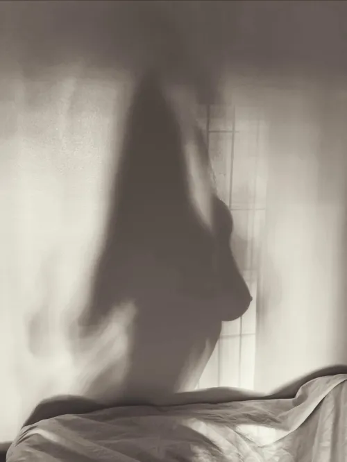 Caught the perfect silhouette by novabrayy