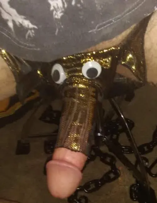 Caution: Elephant May Sneeze by Meetledegupon