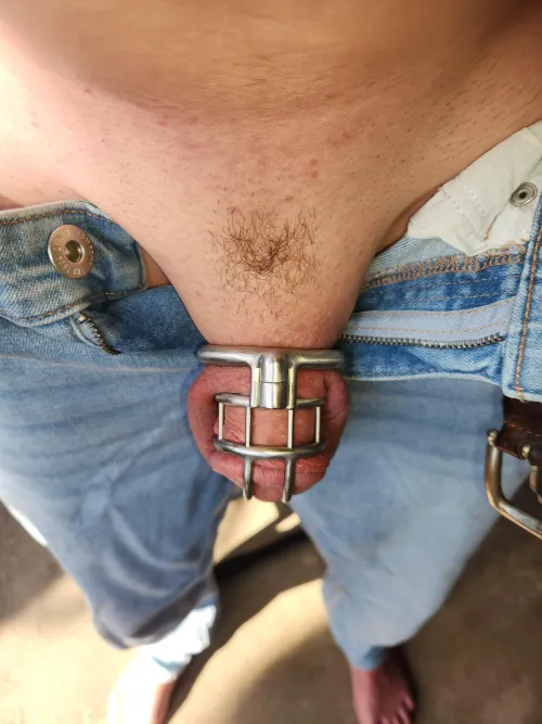 Celebrating 1201 days by shitsandgigssss