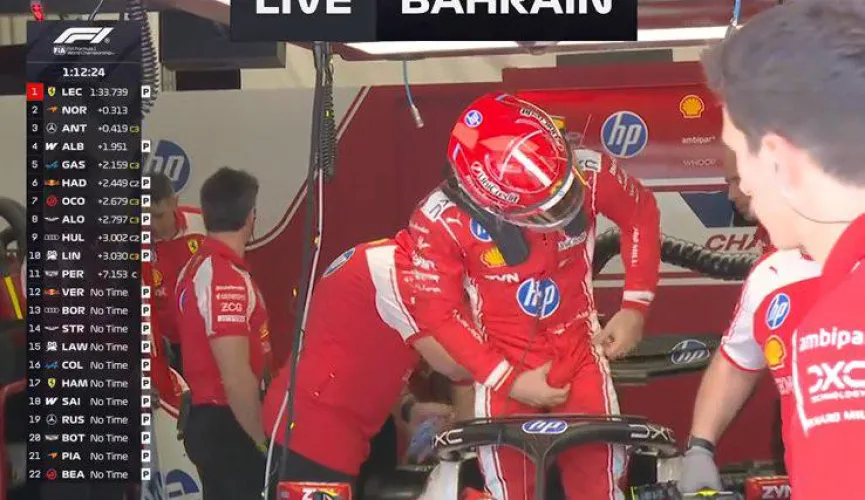 Charles Leclerc by PumpkinEvery5411