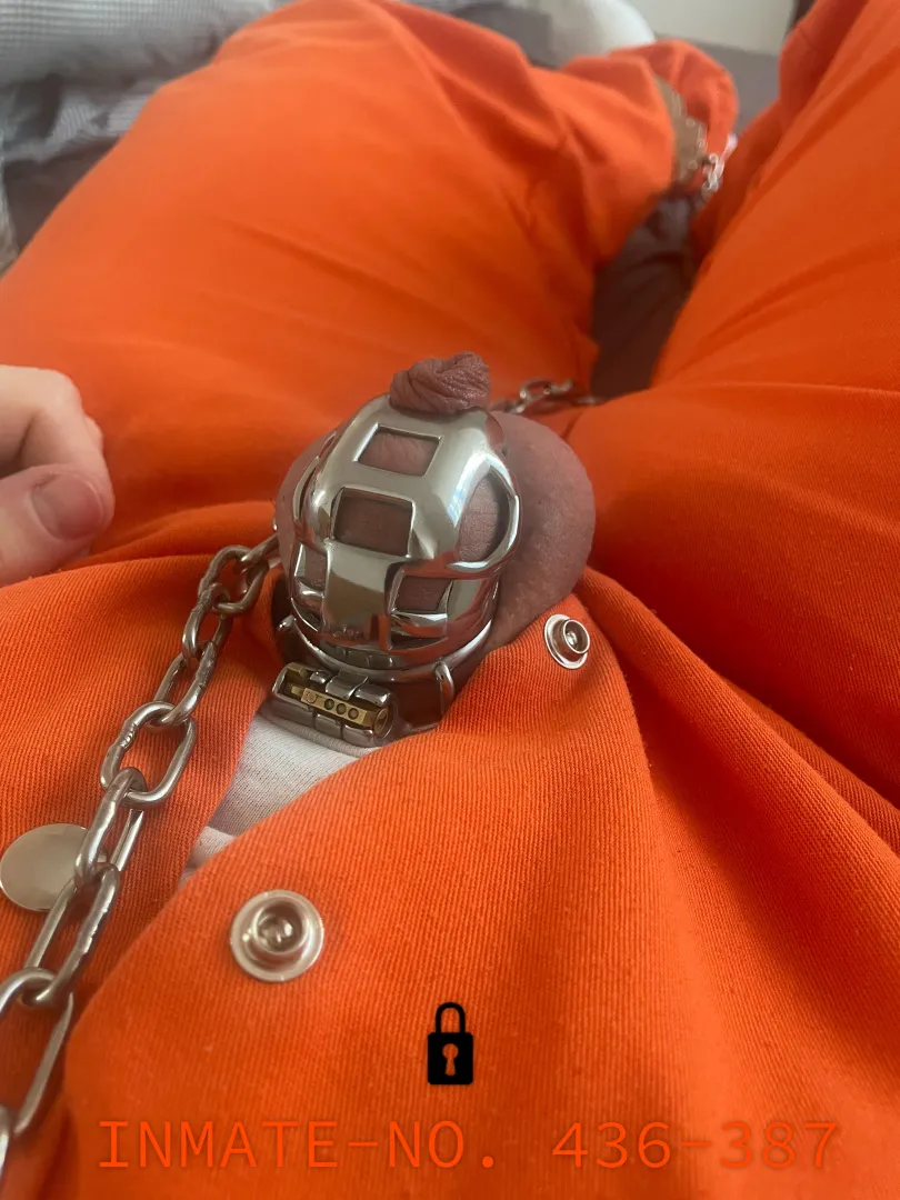 Chastity Prison posted by Desmoterion
