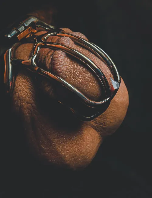 Chastity Tears... A weeping cock accepting his fate... by LifeInChastity