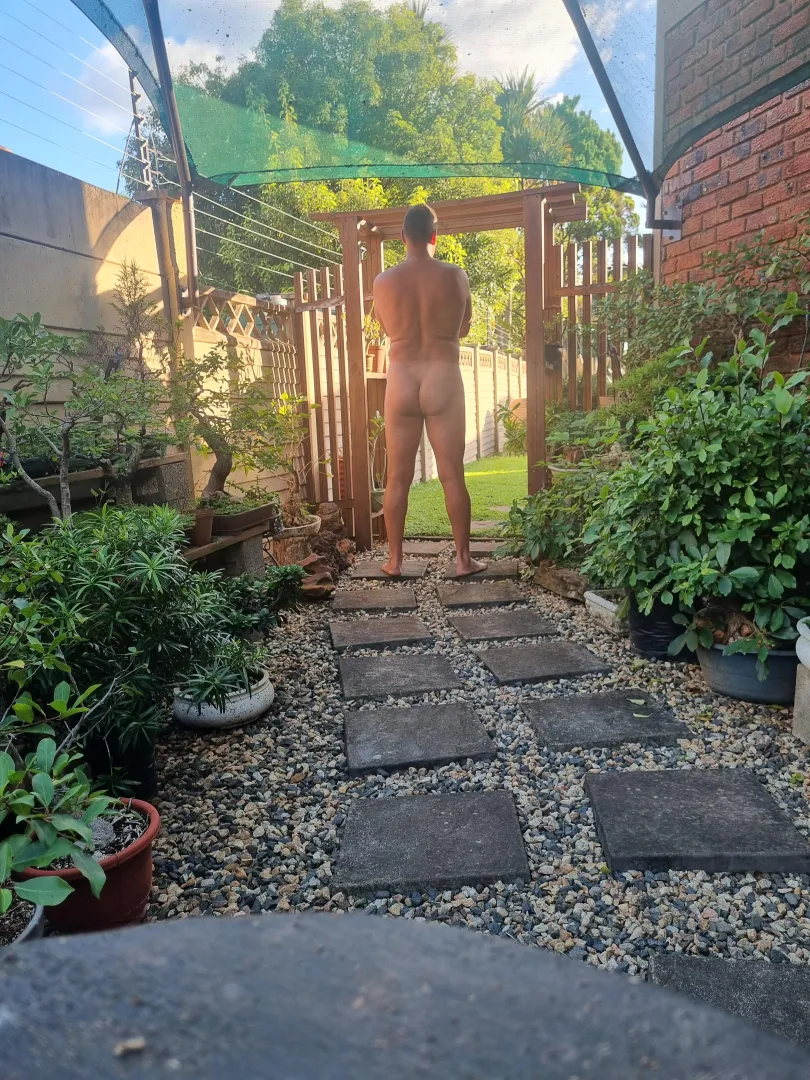 Checking if my bonsais are happy. posted by Electronic_Dare8269