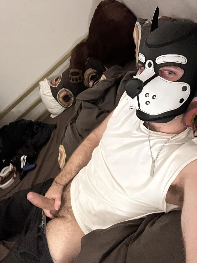 Cheeky puppy playing late at night, I definitely wouldn’t mind some company  posted by IllProduce5736