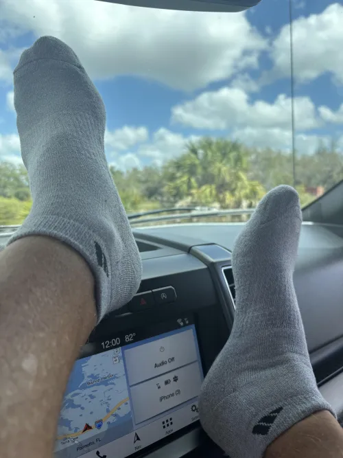 Chillin In The Car by Cultural-Yam-3686