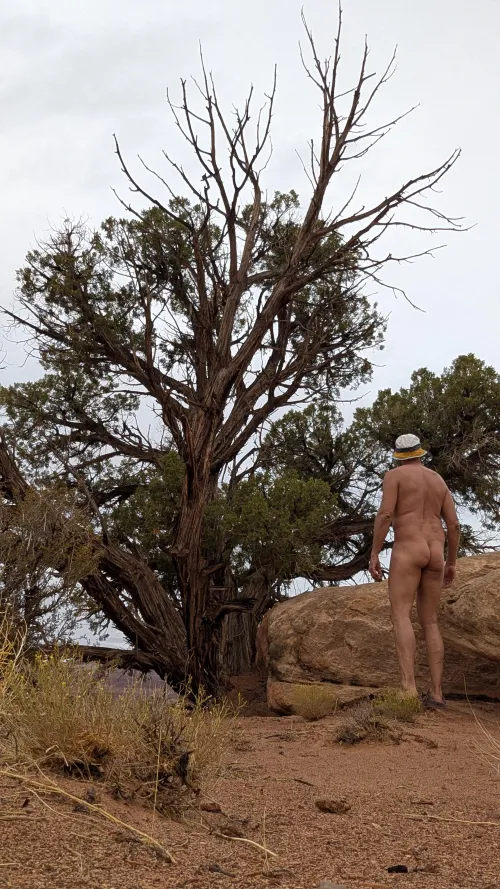 Chilling trailside by NaturalBeard