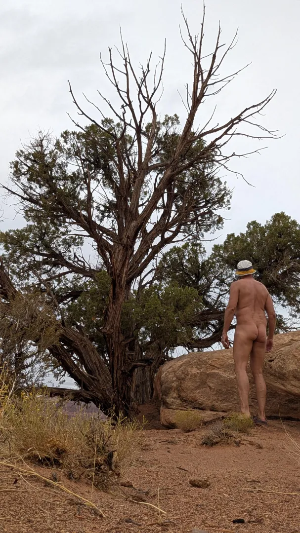 Chilling trailside posted by NaturalBeard