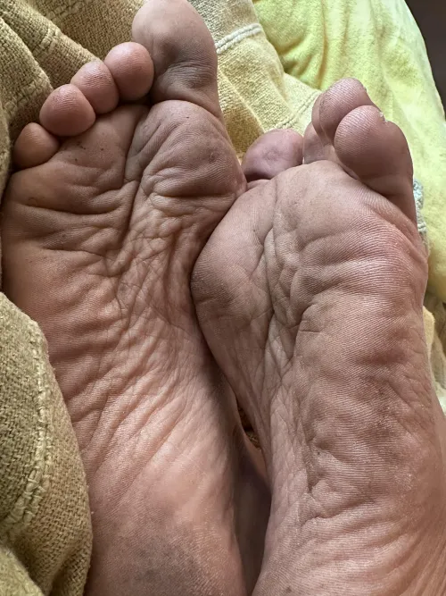 Clean them, my dog  by PlantLover_72