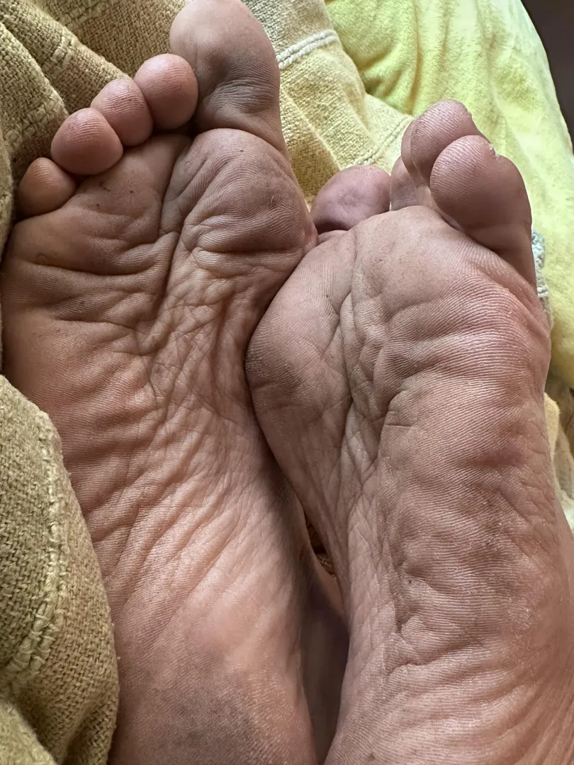 Clean them, my dog  posted by PlantLover_72