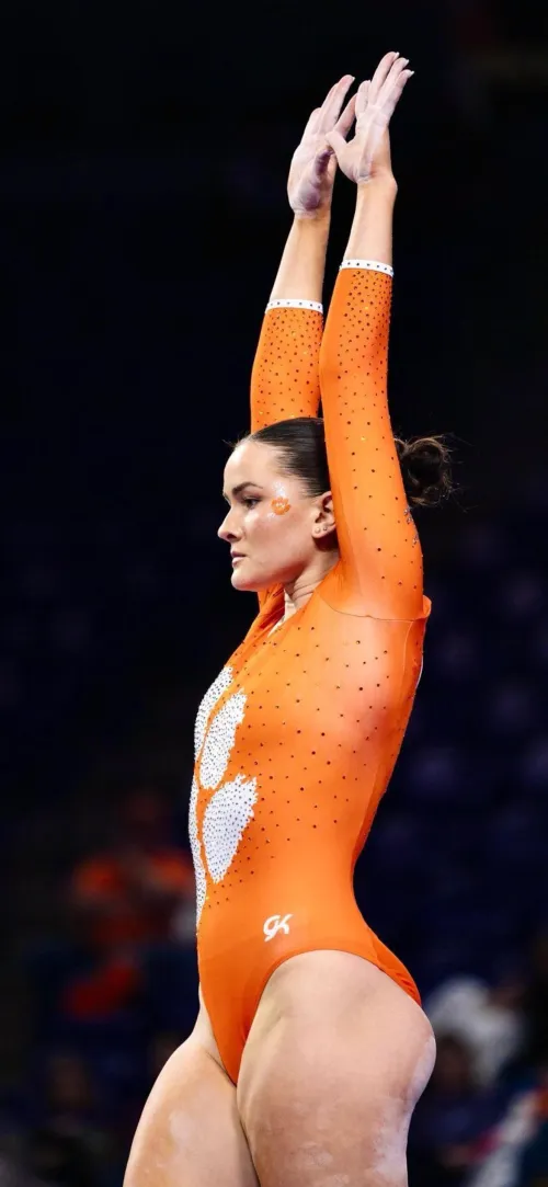 Clemson by infrared13