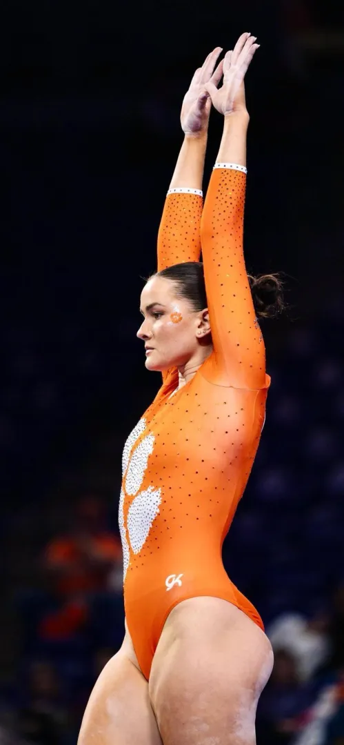 Clemson posted by infrared13