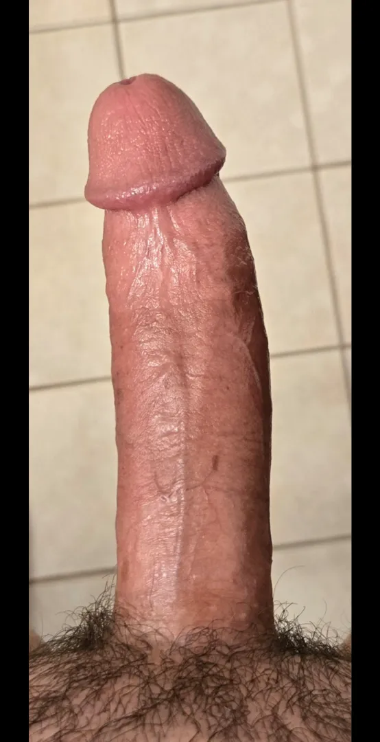 Close up  posted by scholarlymuskrat