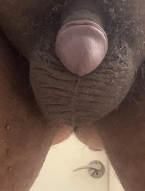 Close up by Fancy_Rhubarb_7469