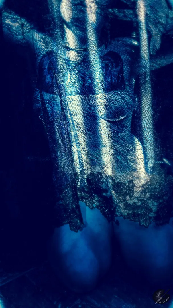 Clothed in light and lace… posted by SireninPaint