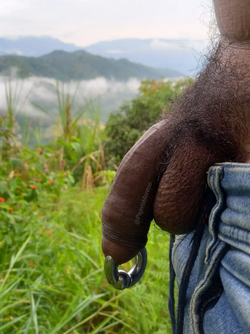 Cold afternoon and here I am finishing urinating with my PA 00G posted by TormesWrGL