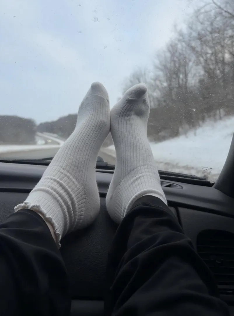 Cold roads, warm toes. posted by Hxzle