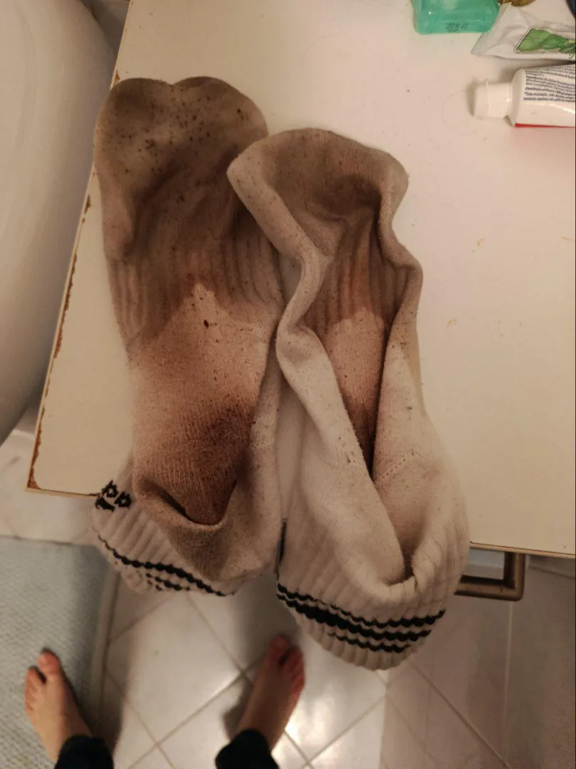 Collage Bro Socks 43 [EU] for SELL or EXCHANGE wore for 14 days also under Rain ️ posted by ReasonableZombie1267