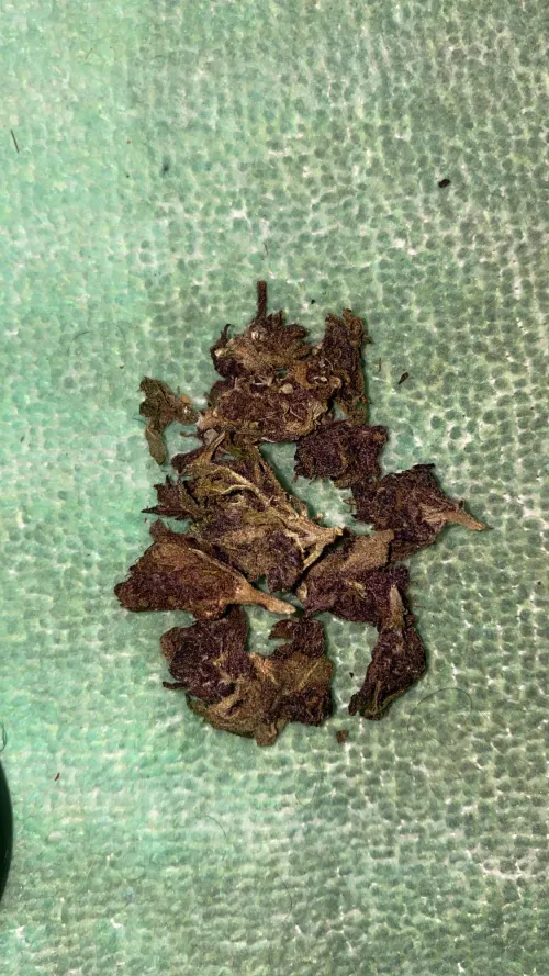 Colômbia estranho by Luanweberth