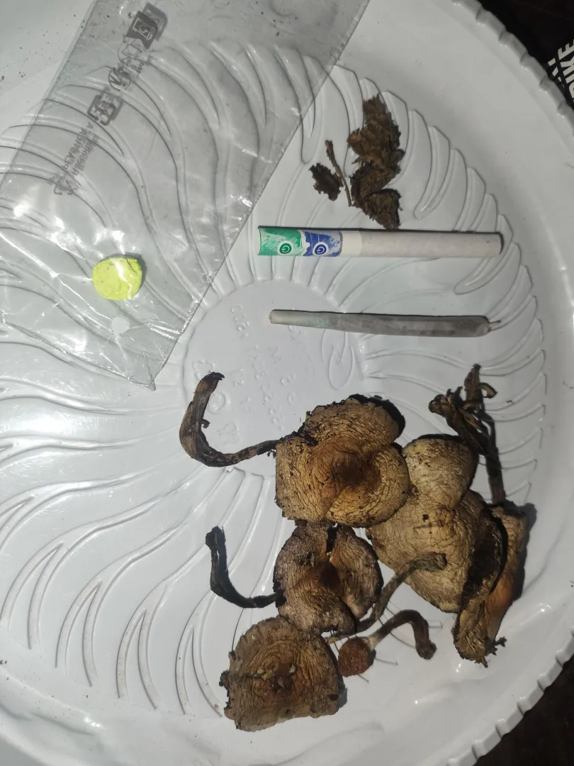 Combinação da noite posted by Delicious_Pumpkin996