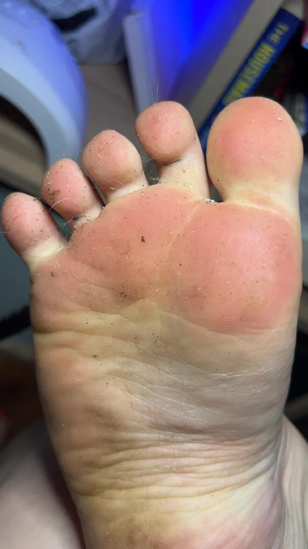 Come and clean them for me posted by Livid_Philosopher_37