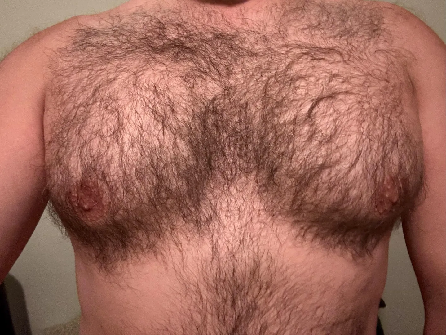 Come get weak and tribute to these Alpha pecs posted by Cali-HairyAlpha