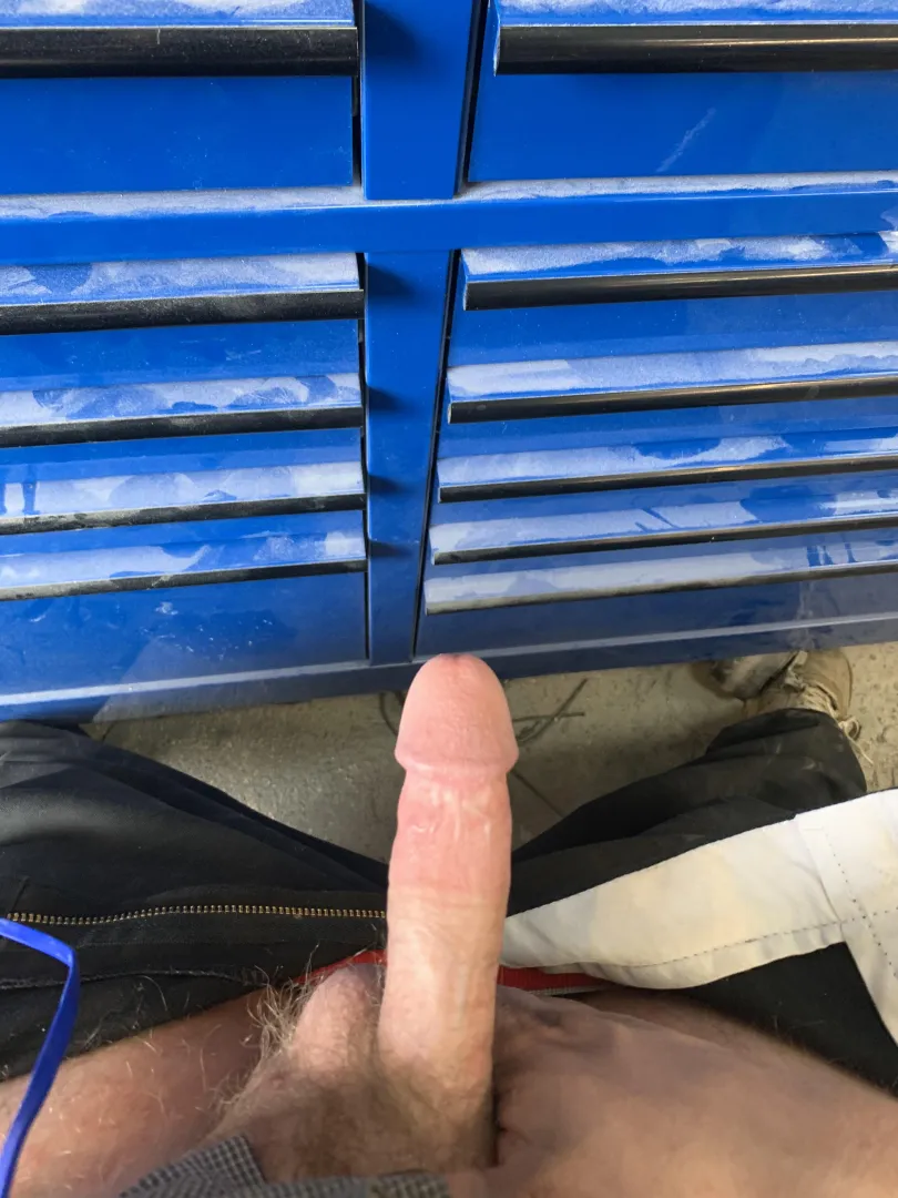 Come out and play! posted by 95chevy79