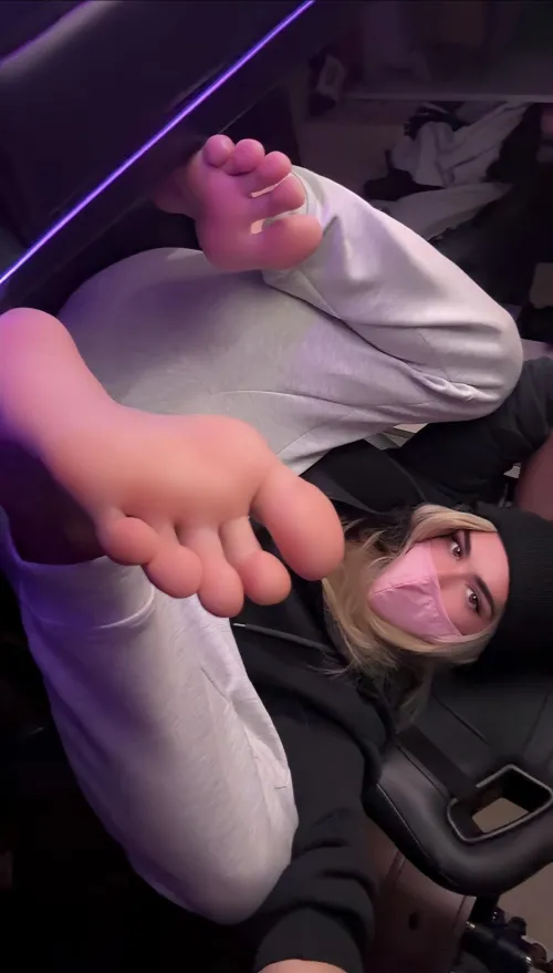 Come play with them   by Taylorr_Moon